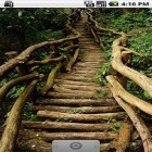 Кроме живых обоев на Андроид Forest HD, скачайте бесплатный apk заставки Magical forest by Wpstar.