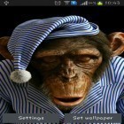 Кроме живых обоев на Андроид Birds by Pro Live Wallpapers, скачайте бесплатный apk заставки Monkey 3D.