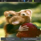 Кроме живых обоев на Андроид Rainy London by Phoenix Live Wallpapers, скачайте бесплатный apk заставки Mouse with strawberries.