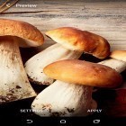 Кроме живых обоев на Андроид Soccer, скачайте бесплатный apk заставки Mushrooms.