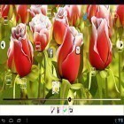 Кроме живых обоев на Андроид Abstract sakura, скачайте бесплатный apk заставки My flower 3D.