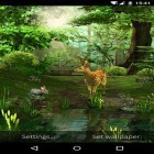 Кроме живых обоев на Андроид Zen garden, скачайте бесплатный apk заставки Nature 3D.