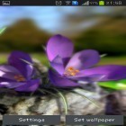 Кроме живых обоев на Андроид Waterfall by Live wallpaper HD, скачайте бесплатный apk заставки Nature live: Spring flowers 3D.