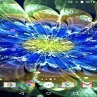 Кроме живых обоев на Андроид Prismatic, скачайте бесплатный apk заставки Neon flowers by Phoenix Live Wallpapers.