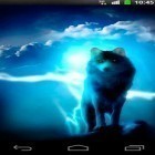Кроме живых обоев на Андроид Nature HD, скачайте бесплатный apk заставки Night wolves.