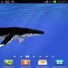 Кроме живых обоев на Андроид Christmas tree by Pro LWP, скачайте бесплатный apk заставки Ocean: Whale.