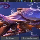 Кроме живых обоев на Андроид Fireworks by Live Wallpapers HD, скачайте бесплатный apk заставки Octopus.
