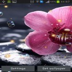 Кроме живых обоев на Андроид Cute winter, скачайте бесплатный apk заставки Orchid HD.