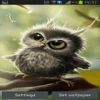Кроме живых обоев на Андроид Music Visualizer, скачайте бесплатный apk заставки Owl chick.