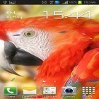 Кроме живых обоев на Андроид Animals and birds, скачайте бесплатный apk заставки Parrot by TTR.