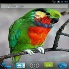 Кроме живых обоев на Андроид Black and white, скачайте бесплатный apk заставки Parrot by Wpstar.