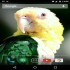 Кроме живых обоев на Андроид Photosphere HD, скачайте бесплатный apk заставки Parrots.