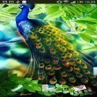 Кроме живых обоев на Андроид Eastern garden, скачайте бесплатный apk заставки Peacock.