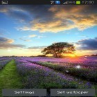 Кроме живых обоев на Андроид Luxury by HQ Awesome Live Wallpaper, скачайте бесплатный apk заставки Perfect sunset.
