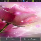 Кроме живых обоев на Андроид Solar system HD deluxe edition, скачайте бесплатный apk заставки Pink roses.