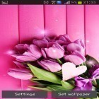 Кроме живых обоев на Андроид Beautiful lotus, скачайте бесплатный apk заставки Pink tulips.