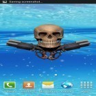 Кроме живых обоев на Андроид Tree with falling leaves, скачайте бесплатный apk заставки Pirate skull.