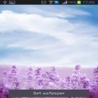 Кроме живых обоев на Андроид Garden by Wallpaper art, скачайте бесплатный apk заставки Purple lavender.