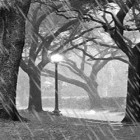 Кроме живых обоев на Андроид Autumn rain by SweetMood, скачайте бесплатный apk заставки Rain animated.