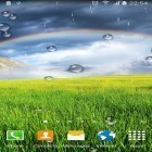 Скачайте Rainbow by Blackbird wallpapers на Андроид, а также другие бесплатные живые обои для Nokia Asha 210.