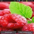 Кроме живых обоев на Андроид Dragon strike, скачайте бесплатный apk заставки Raspberries.