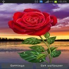 Кроме живых обоев на Андроид Jesus, скачайте бесплатный apk заставки Rose: Magic touch.
