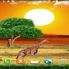 Кроме живых обоев на Андроид My beach HD, скачайте бесплатный apk заставки Safari.