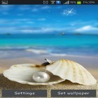 Скачайте Seashells на Андроид, а также другие бесплатные живые обои для Samsung Z1.