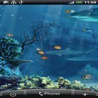 Кроме живых обоев на Андроид Night sky by BlackBird Wallpapers, скачайте бесплатный apk заставки Shark reef.