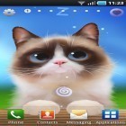Кроме живых обоев на Андроид Digital clock, скачайте бесплатный apk заставки Shui kitten.