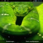 Кроме живых обоев на Андроид Night nature HD, скачайте бесплатный apk заставки Snake.