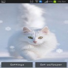 Кроме живых обоев на Андроид Koi, скачайте бесплатный apk заставки Snow cats.