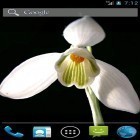Кроме живых обоев на Андроид Glowing flowers by My Live Wallpaper, скачайте бесплатный apk заставки Snowdrops by Wpstar.