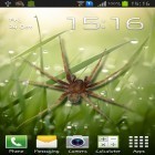 Кроме живых обоев на Андроид Magic crystal, скачайте бесплатный apk заставки Spider in phone.