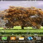 Кроме живых обоев на Андроид Iconography, скачайте бесплатный apk заставки Spring landscapes.