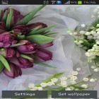 Кроме живых обоев на Андроид Black bubble, скачайте бесплатный apk заставки Springs lilie and tulips.