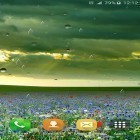 Кроме живых обоев на Андроид Treasure 3D, скачайте бесплатный apk заставки Spring rain by Locos apps.