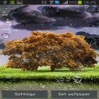 Кроме живых обоев на Андроид Roses by Live Wallpaper HD 3D, скачайте бесплатный apk заставки Spring storm.