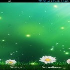 Кроме живых обоев на Андроид Real rain, скачайте бесплатный apk заставки Summer Flowers by Dynamic Live Wallpapers.