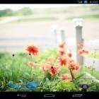 Кроме живых обоев на Андроид Cars clock, скачайте бесплатный apk заставки Summer flowers by Mww apps.