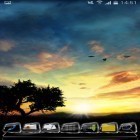 Кроме живых обоев на Андроид Forest by Wallpapers and Backgrounds Live, скачайте бесплатный apk заставки Sunset Hill.