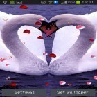 Кроме живых обоев на Андроид Elf world, скачайте бесплатный apk заставки Swans: Love.
