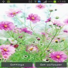 Кроме живых обоев на Андроид Night nature HD, скачайте бесплатный apk заставки Sweet flowers.