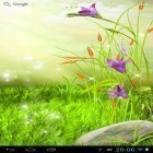 Кроме живых обоев на Андроид Tulip 3D, скачайте бесплатный apk заставки The sparkling flowers.