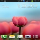 Кроме живых обоев на Андроид Beautiful lotus, скачайте бесплатный apk заставки Tulip 3D.