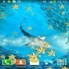 Кроме живых обоев на Андроид Screen speaker, скачайте бесплатный apk заставки Underwater.