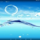 Кроме живых обоев на Андроид Rainbow by Free Wallpapers and Backgrounds, скачайте бесплатный apk заставки Water bubble.