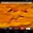 Кроме живых обоев на Андроид Roses 3D by Happy live wallpapers, скачайте бесплатный apk заставки Misted screen HD.