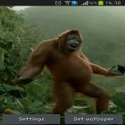 Кроме живых обоев на Андроид Aquarium 3D, скачайте бесплатный apk заставки Wild dance crazy monkey.