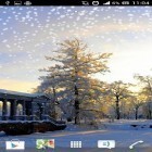 Кроме живых обоев на Андроид Nature by Red Stonz, скачайте бесплатный apk заставки Winter.